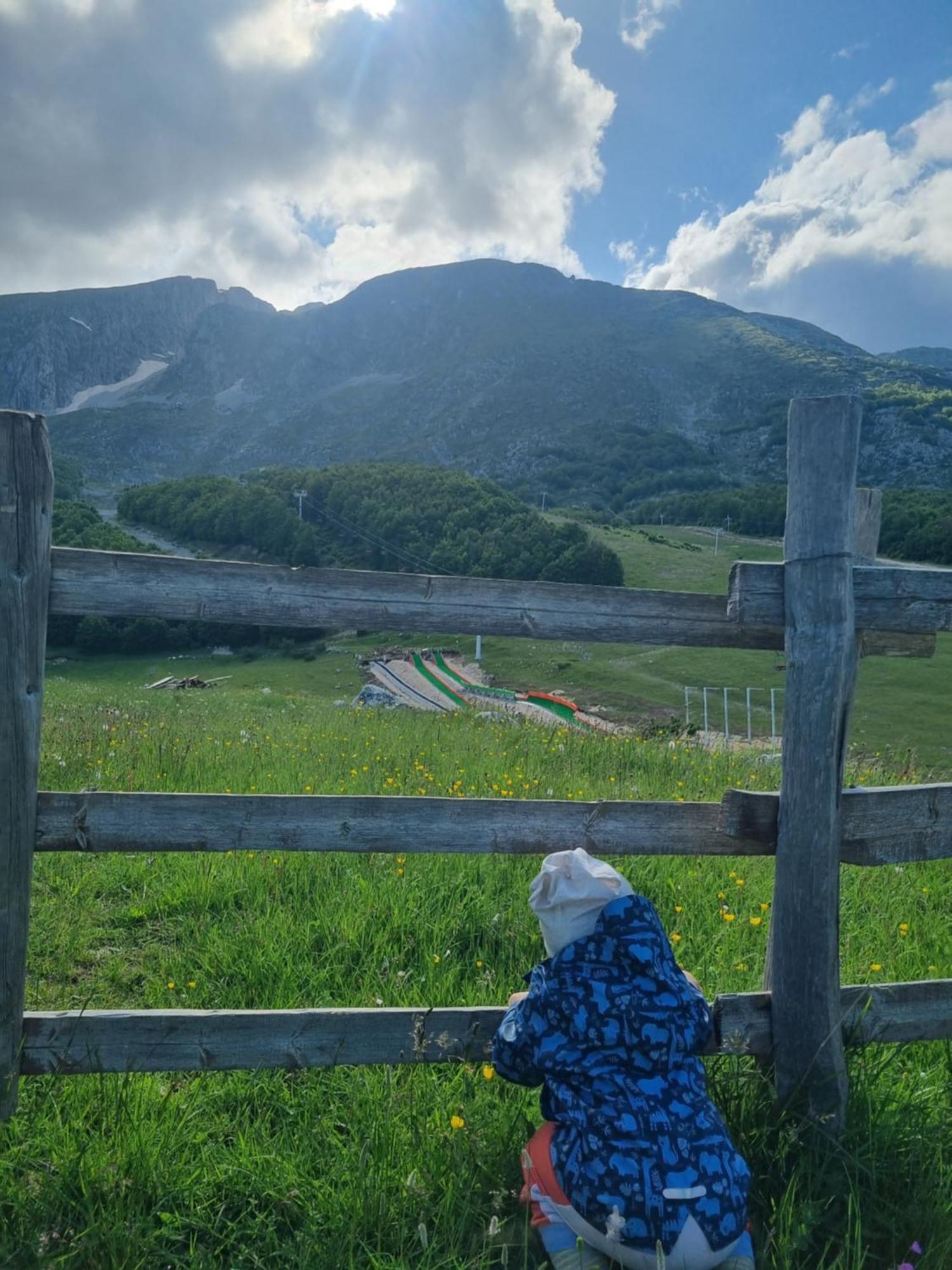 ŽabljakMountain House Savin Kuk别墅 外观 照片