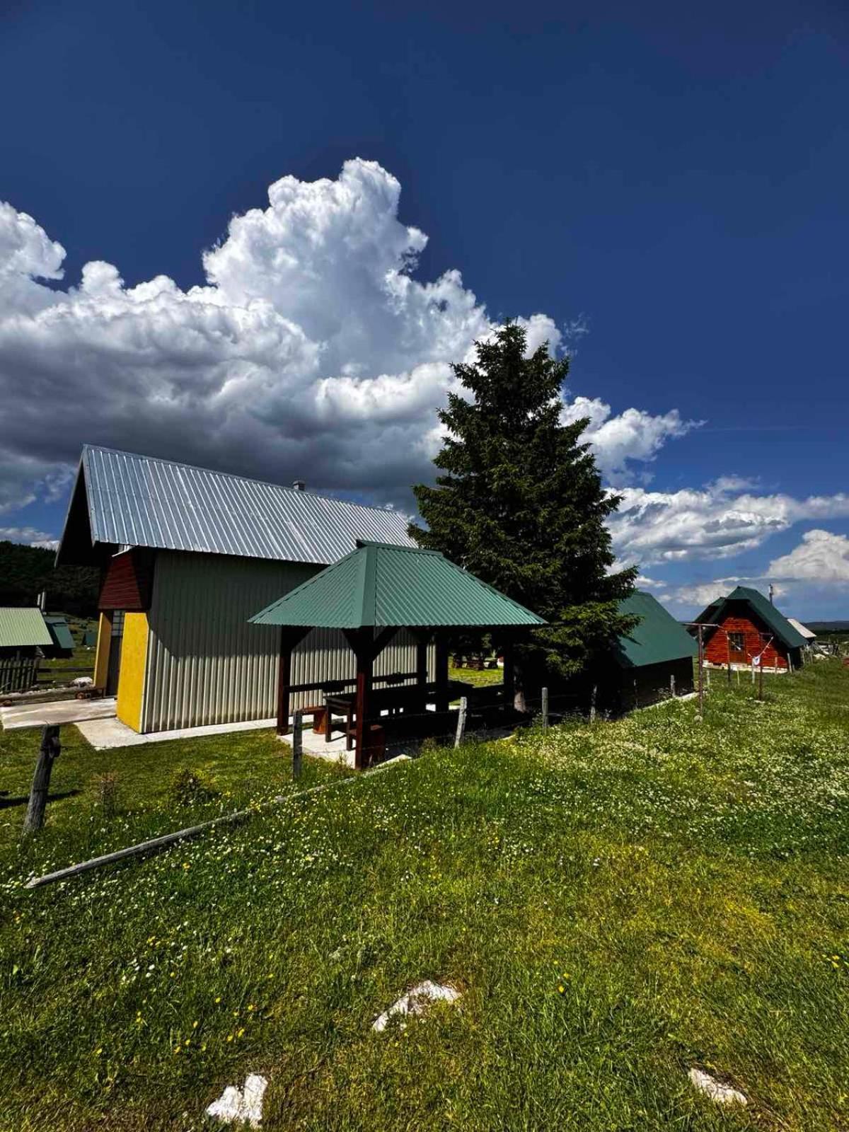 ŽabljakMountain House Savin Kuk别墅 外观 照片